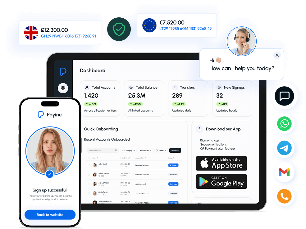 payine features - app dashboard preview
